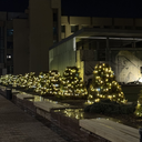 IMG_7636.webp