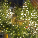 IMG_3522.webp