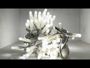 youtube - [Video]