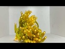 youtube - [Video]