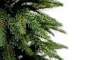 DA2A4843.webp