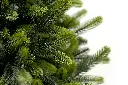 DA2A4817.webp