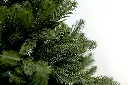 DA2A4803.webp