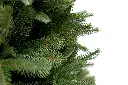 DA2A4821.webp