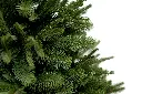 DA2A4828.webp