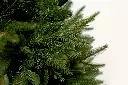 DA2A4856.webp