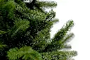DA2A4824.webp