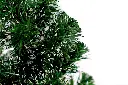 DA2A4953.webp