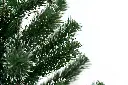 DA2A4914.webp