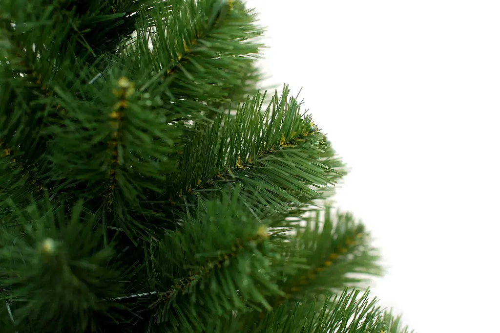 DA2A4923.webp