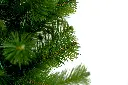 DA2A4920.webp