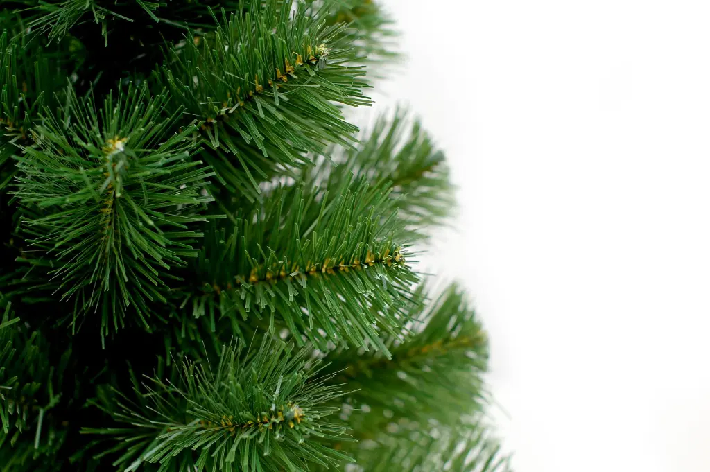 DA2A4929.webp