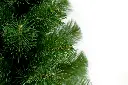 DA2A4929.webp