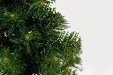 DA2A4949.webp