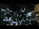 youtube - [Video]