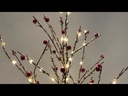 youtube - [Video]