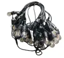 PROfesionali stambių lempučių „bulbs“ girlianda su lemputėmis POLAMP, 15m, 30x2W LED, E27, juodu laidu, IP44
