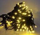 PRO lempučių girlianda POLAMP, 100 LED, IP67, 10m (5+5), šiltai balta, žaliu laidu