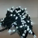 PRO lempučių girlianda POLAMP, 100 LED, IP67, 10m (5+5), šaltai balta, žaliu laidu