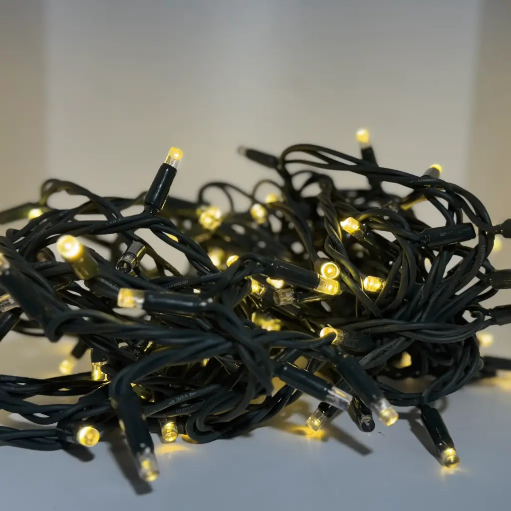 PROfesionali WW-FLASH lempučių girlianda POLAMP, 10m (5+5), 80+20 LED, šiltai balta, žaliu laidu, IP67