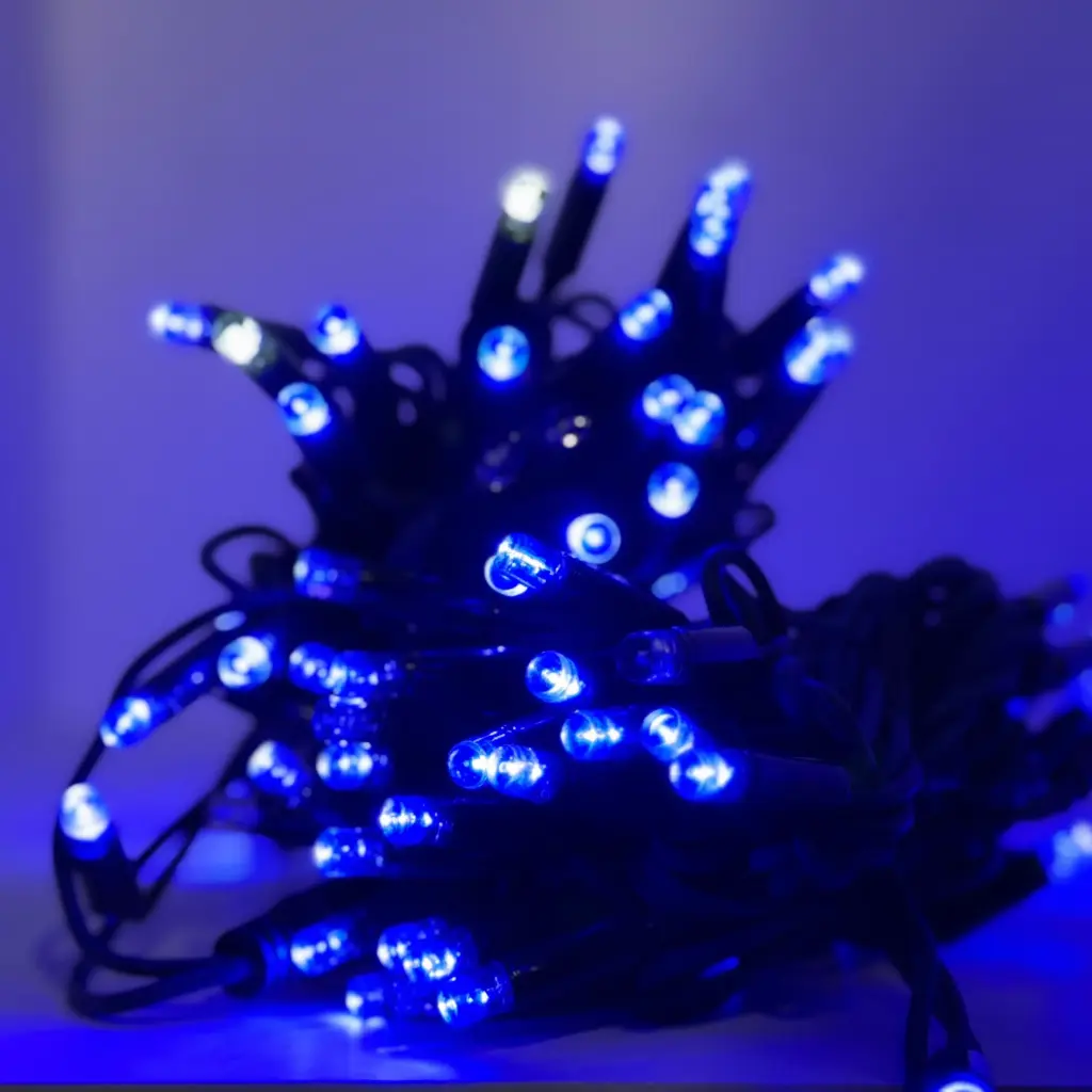 PRO FLASH lempučių girlianda POLAMP, 80+20 LED, IP67, 10m (5+5), mėlyna, žaliu laidu