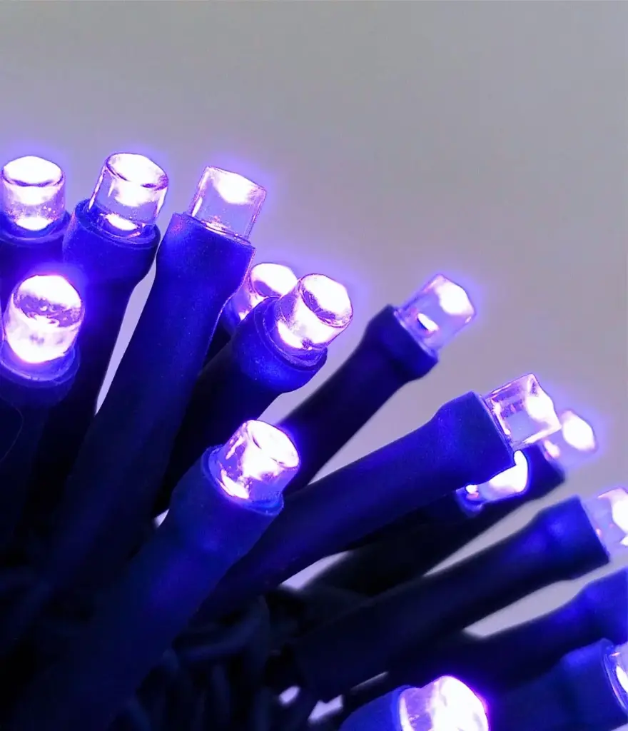 Lempučių girlianda POLAMP, 10m, 100 LED, purpurinė, žaliu laidu, IP44