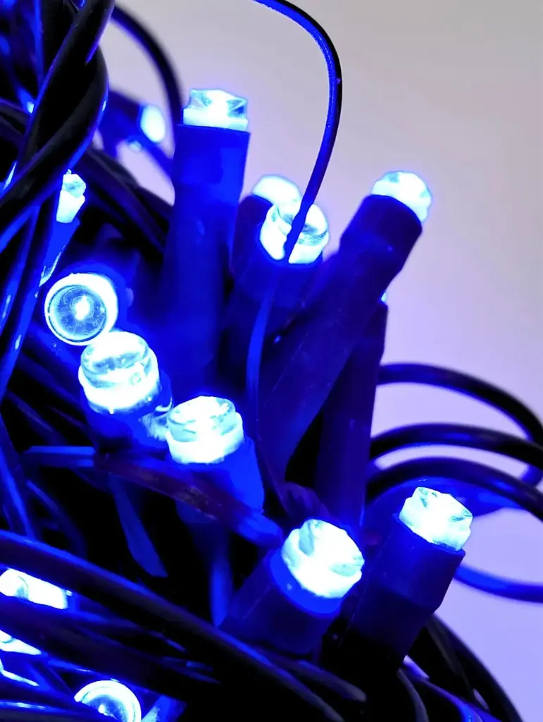 Lempučių girlianda POLAMP, 10m, 100 LED, mėlyna, žaliu laidu, IP44 