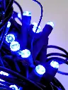 Lempučių girlianda POLAMP, 10m, 100 LED, mėlyna, žaliu laidu, IP44 