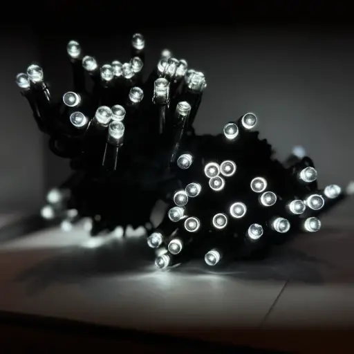 [POL-PLSL10M-CW-BL] PROfesionali lempučių girlianda POLAMP, 10m (5+5), 100 LED, šaltai balta, juodu laidu, IP67