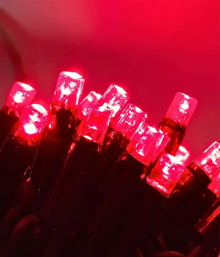 [POL-PLSL10M-R-BL] PROfesionali lempučių girlianda POLAMP, 10m (5+5), 100 LED, raudona, juodu laidu, IP67