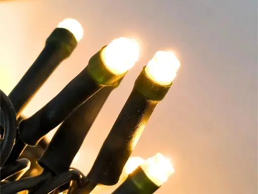 [POL-LSL10M-CLW-G] Lempučių girlianda POLAMP, 10m, 100 LED, klasikinė balta, žaliu laidu, IP44