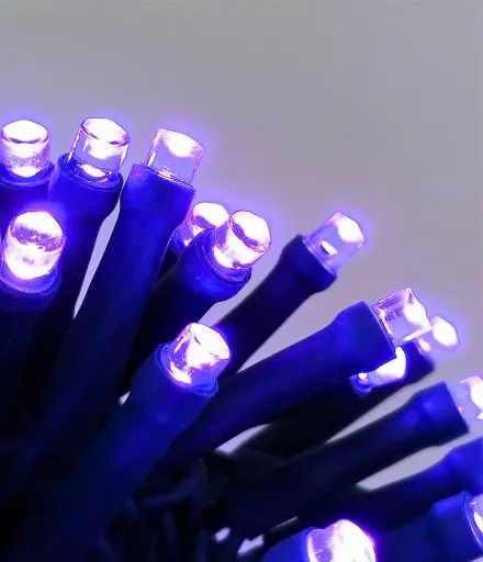 [POL-LSL10M-PU-G] Lempučių girlianda POLAMP, 10m, 100 LED, purpurinė, žaliu laidu, IP44